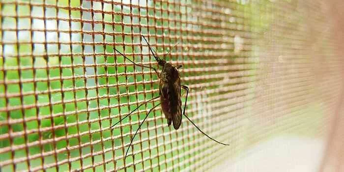 Принцип действия барьеров от комаров, мух и мошек
